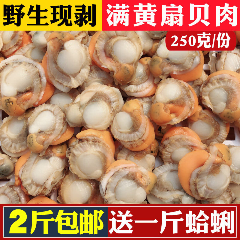 生鲜粉丝扇贝新鲜肉冷冻肉开袋蒜蓉虾夷海鲜鲜活贝类水产