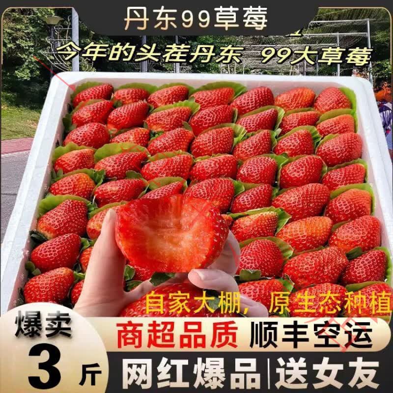 【顺丰空运】丹东草莓新鲜水果应季红颜99草莓九九牛奶奶油大甜 带箱3斤小果【单果15g起】顺丰空运(净重2.7斤)