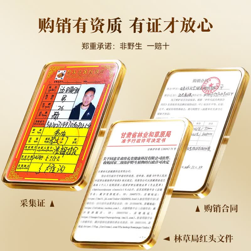 藏汐堂【西藏发货】那曲野生冬虫夏草 新干虫草滋补品 送长辈营养品礼盒 4条/克 40条*1盒 10克【热销款】