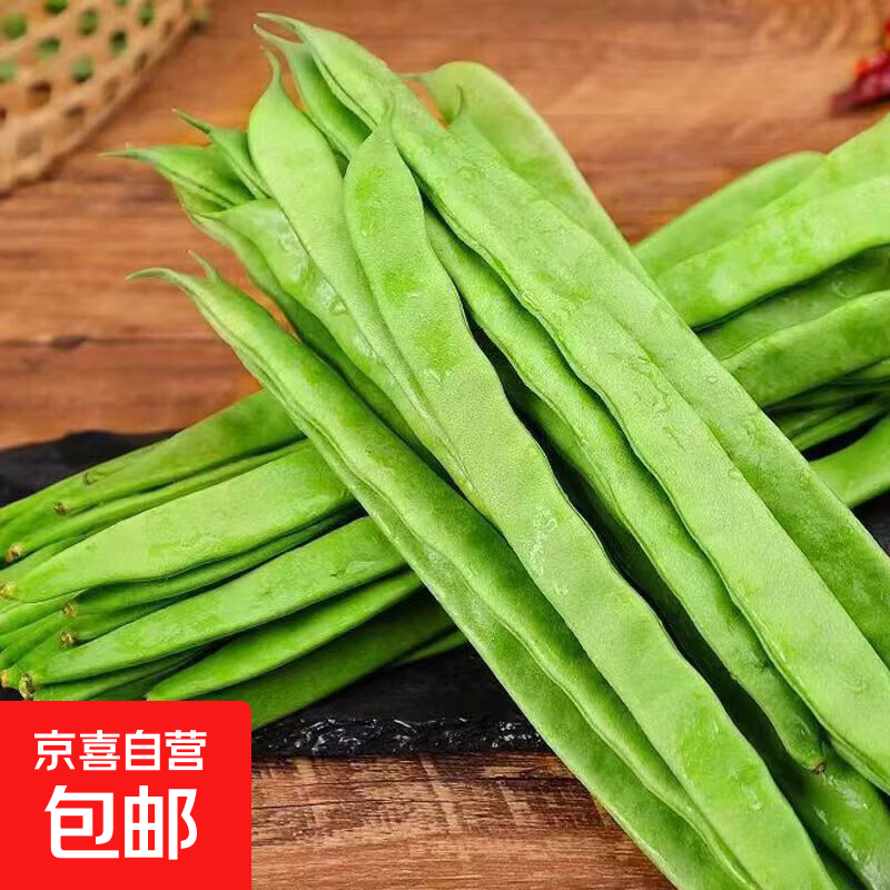 山东春季大扁芸豆芸豆角无丝豆四季豆嫩现摘当季新鲜蔬菜包邮 带箱2斤（净重 1.8斤）