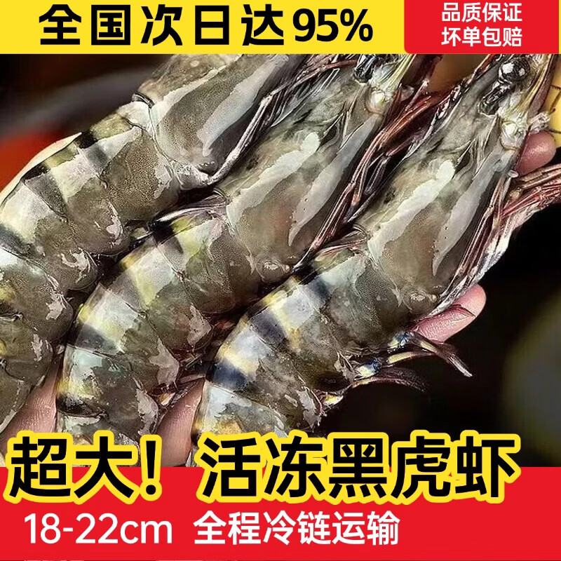 添渔港黑虎虾超大新鲜大虾老虎虾鲜活虎虾基围虾特大速冻海鲜斑竹 大号20只(1斤) 450g(净重) 2斤