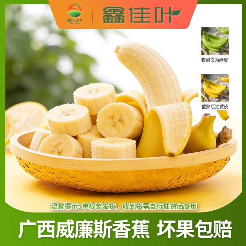 鑫佳叶广西威廉斯香蕉 单根装（需催熟） 净重4.5斤 单果100g+（单根装 收到需催熟）