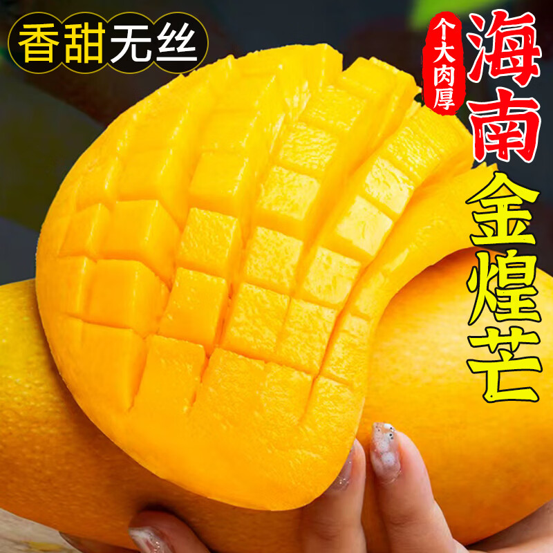 生活&好管家海南芒果金煌芒新鲜水果当季现摘孕妇水果生鲜 商超品质(需催熟后再食用) 4.5-5斤热卖装【单果200g+】——净重4.5斤