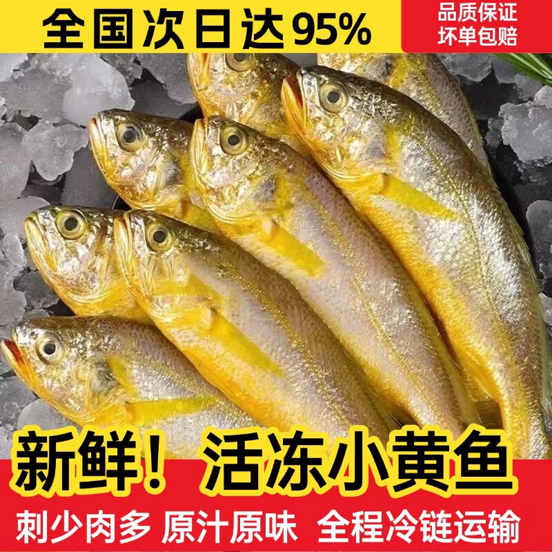 添渔港小黄鱼新鲜冷冻海鱼冰鲜真空包装生小黄鱼 1斤【约10条】 京东折扣/优惠券