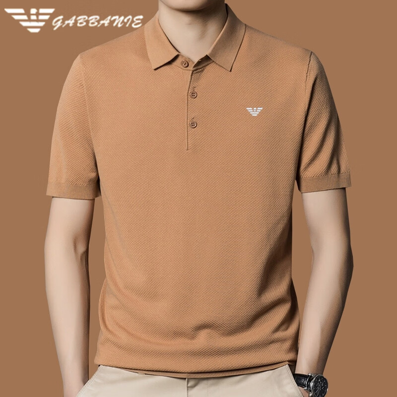 阿玛尼(ARMANI)正品夏季短袖t恤男士桑蚕丝翻领休闲纯色时尚薄款针织polo衫高端 十大奢侈品男装国际一线品牌白色 L 170_(适合体重120-130斤)