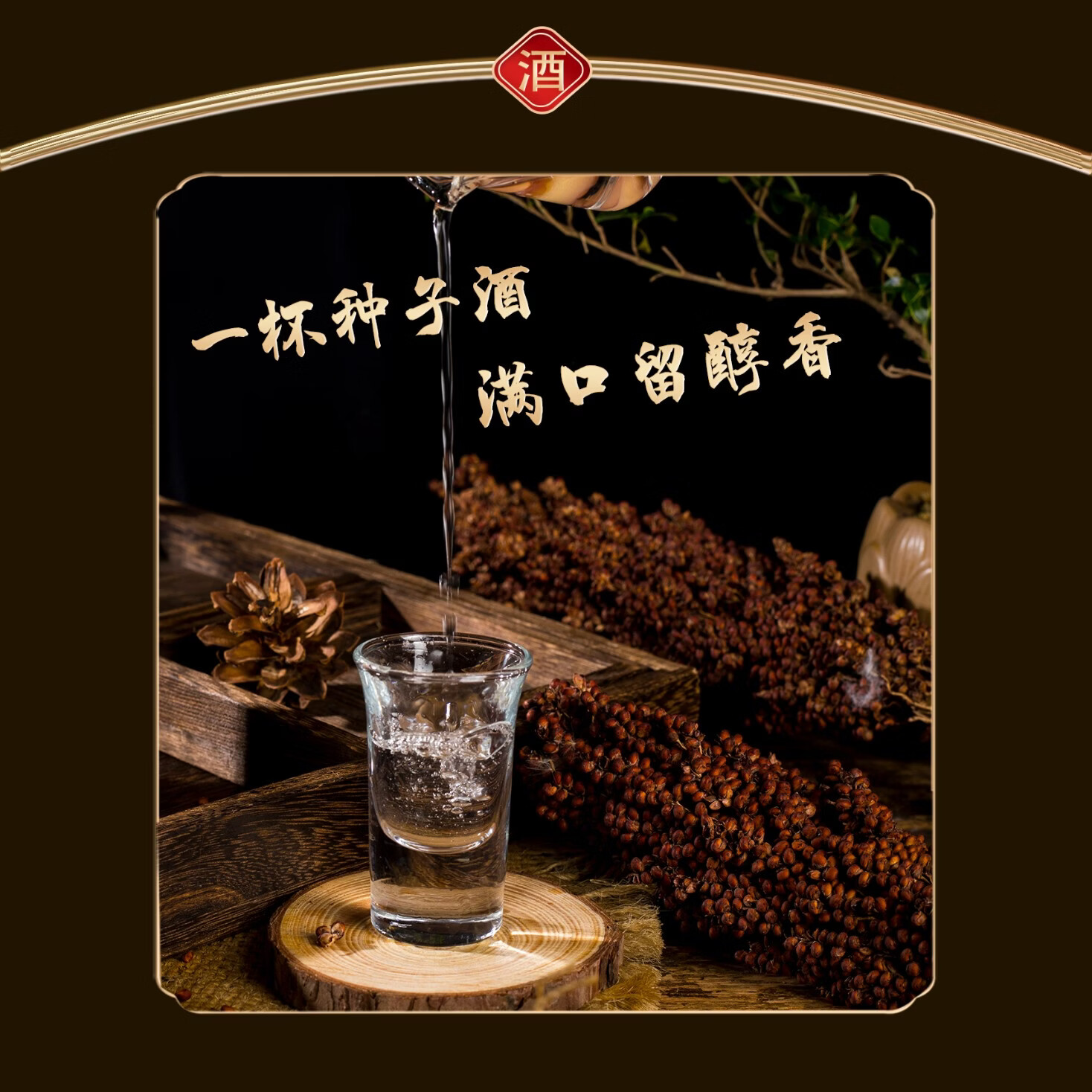 佳凤【种子粮酿造】创业白53°清香型白酒 53%vol 485mL 1瓶