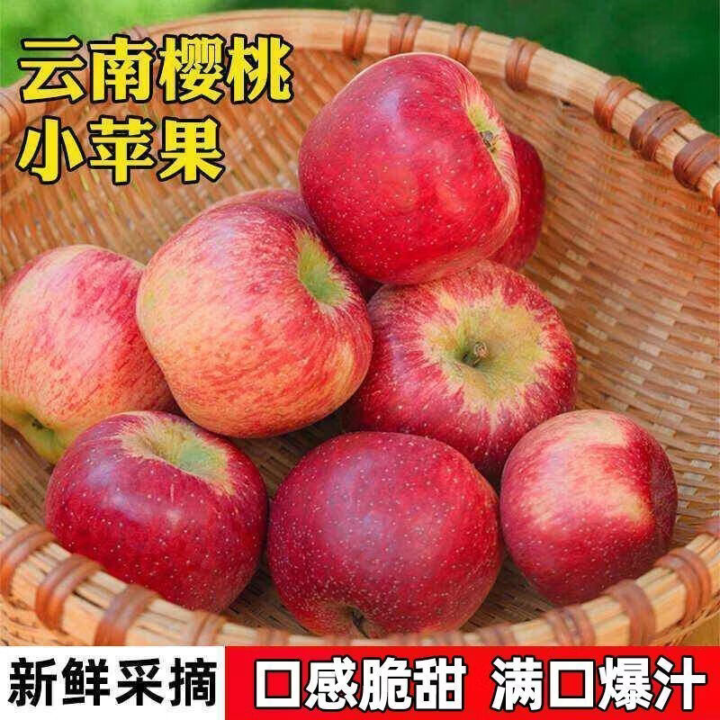 享佳恬正宗云南昭通樱桃小苹果新鲜脆甜冰糖心迷你苹果红富士整箱 净重3斤双网套60mm【新鲜采摘】