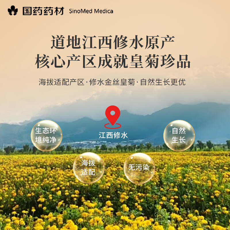 崇芝林国药药材金丝皇菊菊花茶胎菊黄菊熬夜菊花茶趣火超大约100朵 【江西修水】 60g*1罐 国药药材 只做道地好药材