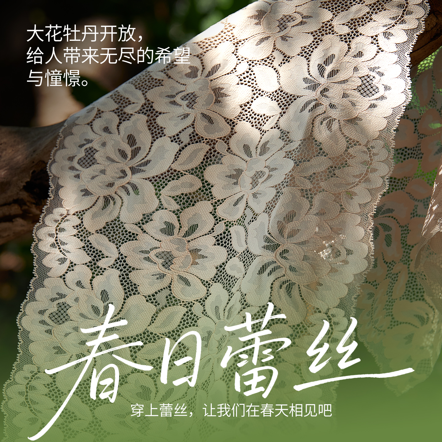 千奈美大码蕾丝大胸显瘦遮肚大码美背全罩杯防下垂吊带背心带罩杯 经典黑 90D