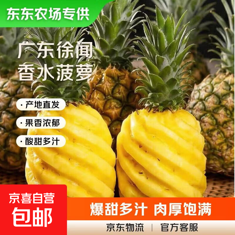 【东东农场专供】徐闻香水菠萝生鲜时令应季热带水果酸甜多汁菠萝 2个装净重3-3.5斤 徐闻菠萝单果650克起