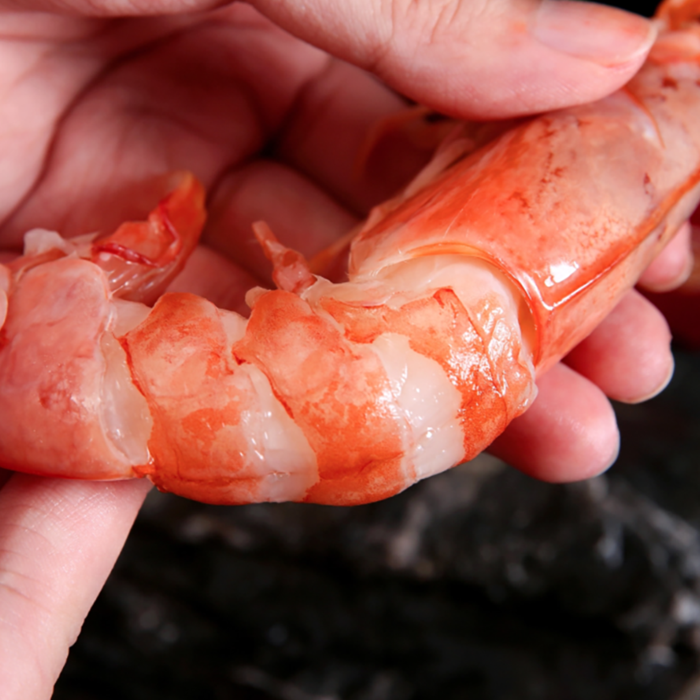 蟹小姐冷冻黑虎虾仁青岛黑虎虾超大鲜活速冻深海捕捞顺丰冷链包邮 黑虎虾仁 600g(净重) 