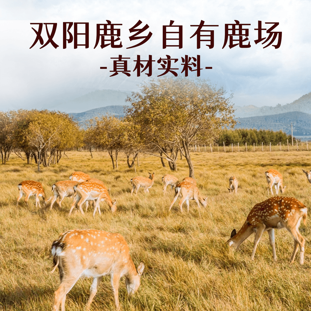 仙养方鹿心丸梅花鹿鹿心 大玲子鹿场仙养方鹿心丸吉林双阳鹿乡正品 仙养方鹿心丸【10丸】*8瓶