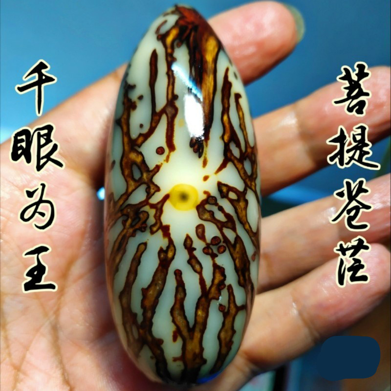 福维拉送亲朋好友的礼物千眼菩提大果一物一图绿果白果眼果净果手磨