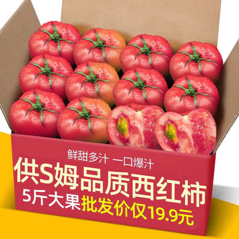 西红柿正宗供商超品质沙瓤5斤装普罗旺斯自然熟柿子蔬菜水果番茄 3斤 【实惠便宜】果子小适合烹饪