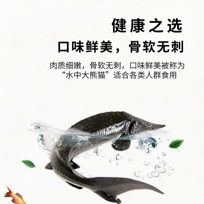源外园鲟鱼鲜活大鱼中华养殖鲟龙鱼包活到家软骨无刺冷水鱼送礼鲟鱼礼盒 16-18斤/条【数量稀少,营养价值高】