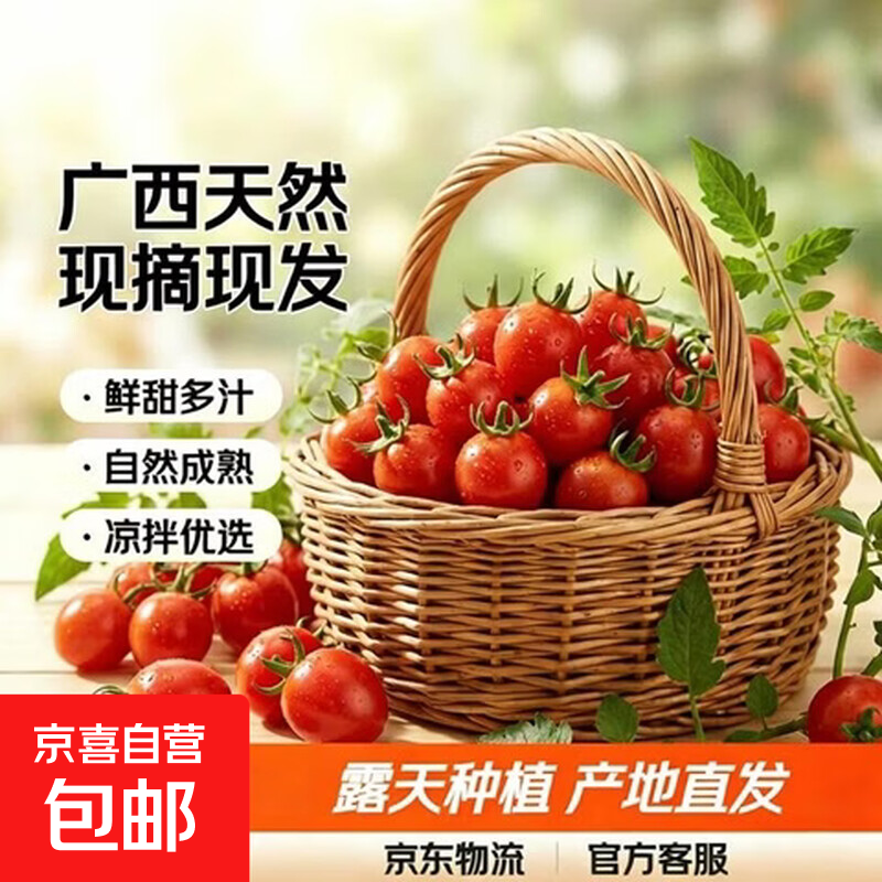 广西红色圣女果樱桃小柿子红色玲珑小番茄现摘现发 带箱2斤净重1.8斤单果6g+