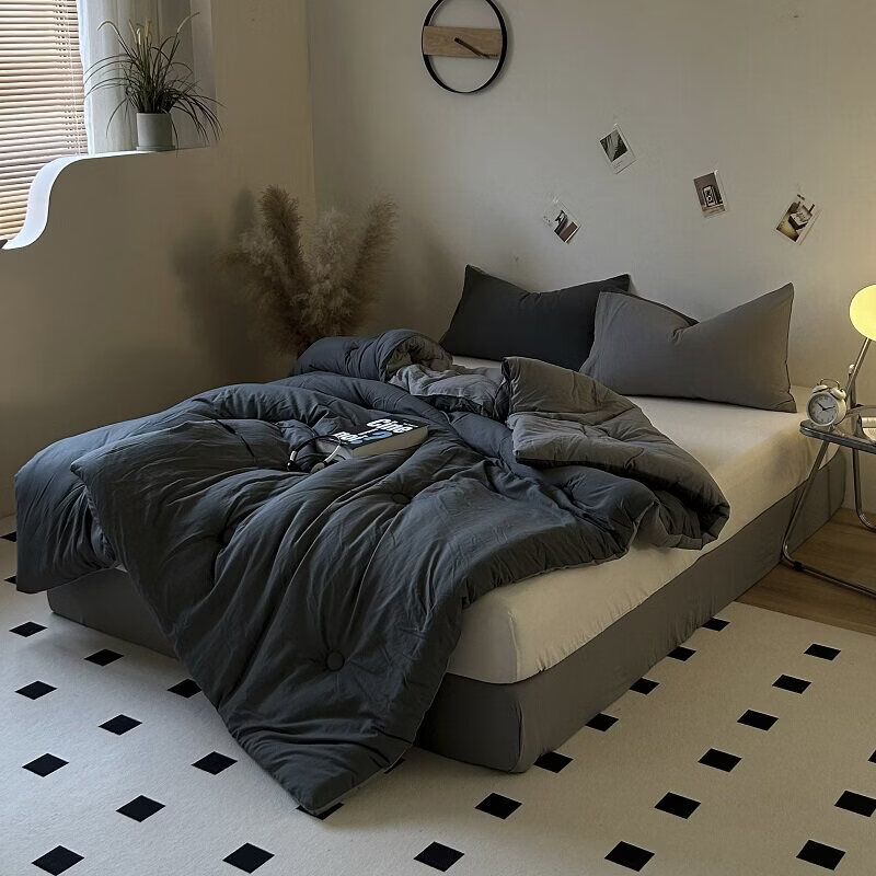 春夏款空调被子冬加厚保暖春秋夏凉四季通用学生宿舍单人芯 奶茶焦糖【亲肤水洗棉】 200*230厚冬被【约重9.5斤,适合适合0℃左