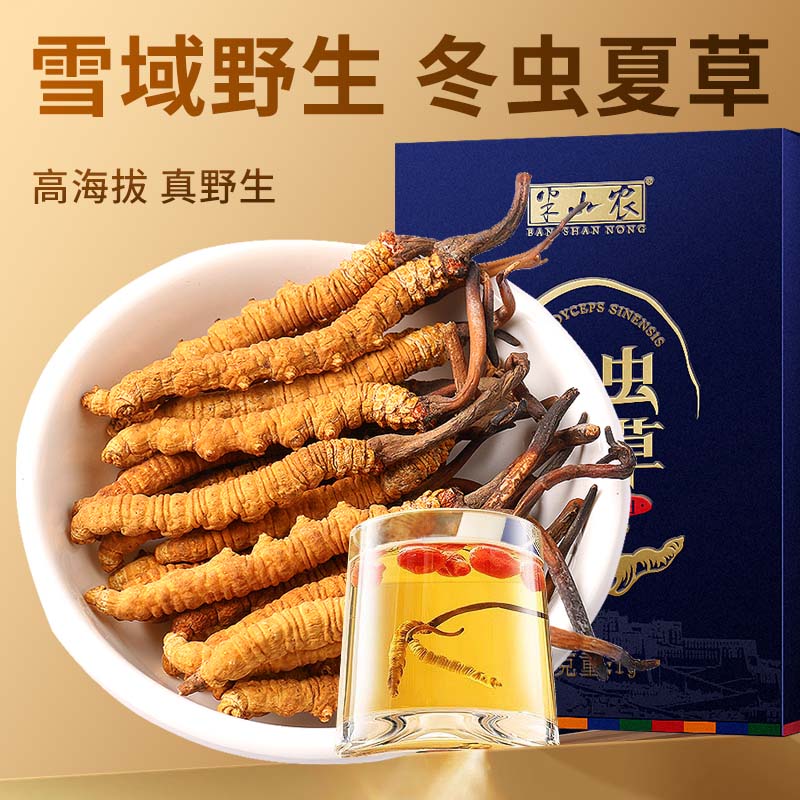 半山农【野生】冬虫夏草6条/克 1克 西藏虫草 送礼送长辈补品端午节礼物
