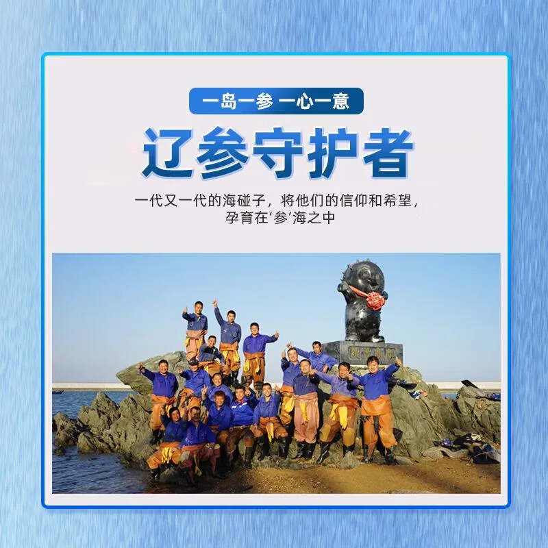 鑫玉龙有机即食海参正宗大连辽参鲜食辽刺参海鲜水产 固体物含量≥85% 【量贩装】有机海参3斤42头