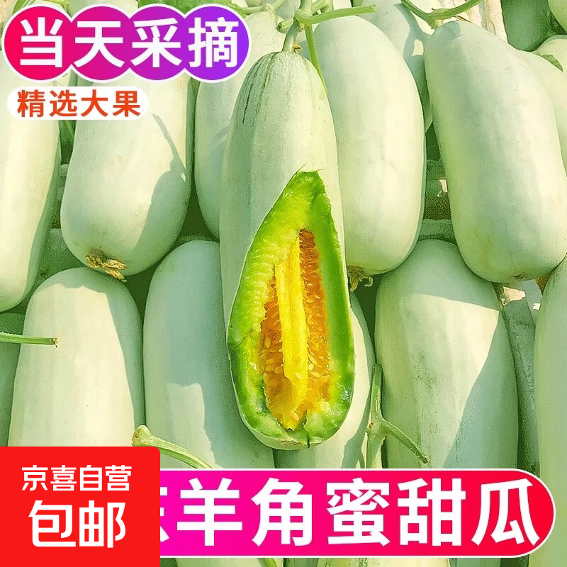 山东羊角蜜甜瓜新鲜水果头茬当季现摘脆甜蜜瓜香瓜时令羊角脆包邮 羊角蜜瓜 带箱5斤（净重4.5斤） 200g