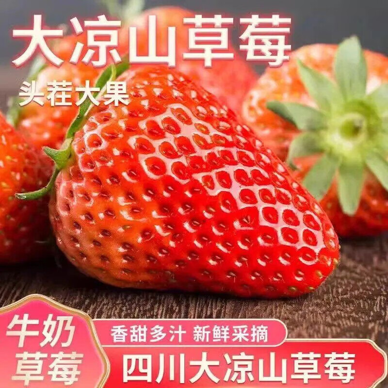 新鲜现摘大凉山草莓新鲜露天草莓红颜奶油九九甜牛奶草莓当季水果 大凉山草莓净重0.9斤，单果8-12g