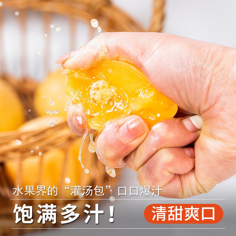 骄瑰云南石林人参果【多地次日达】圆果树上熟当季新鲜水果整箱中秋送 5斤装【超值推荐-80%选】净重4.5斤 9A金奖·老树果【单果110g+】