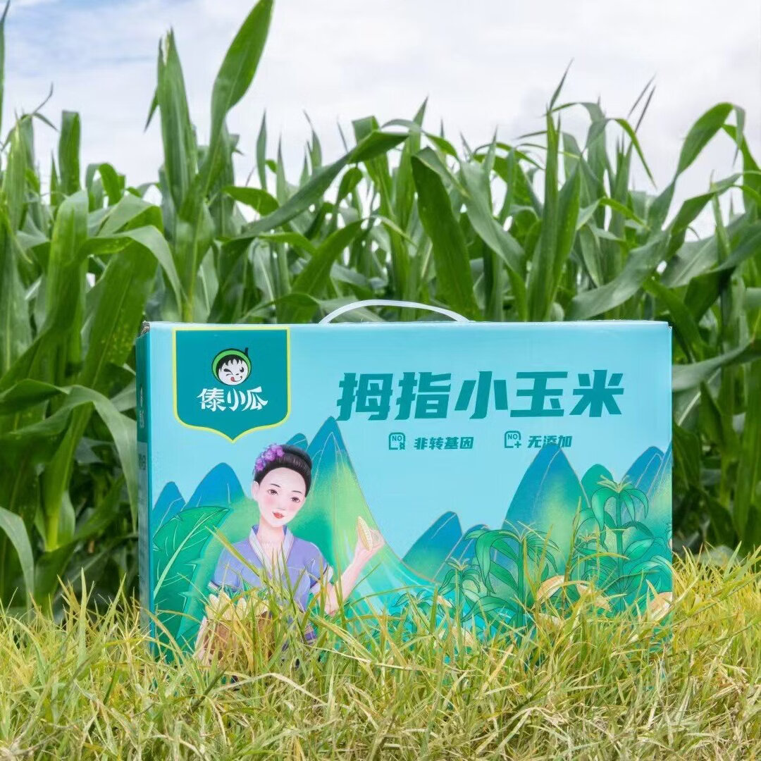 彩云之南西双版纳白拇指小玉米自然生长新鲜现摘现发燕麦真空包装 白拇指小玉米500克/袋 （普通箱）