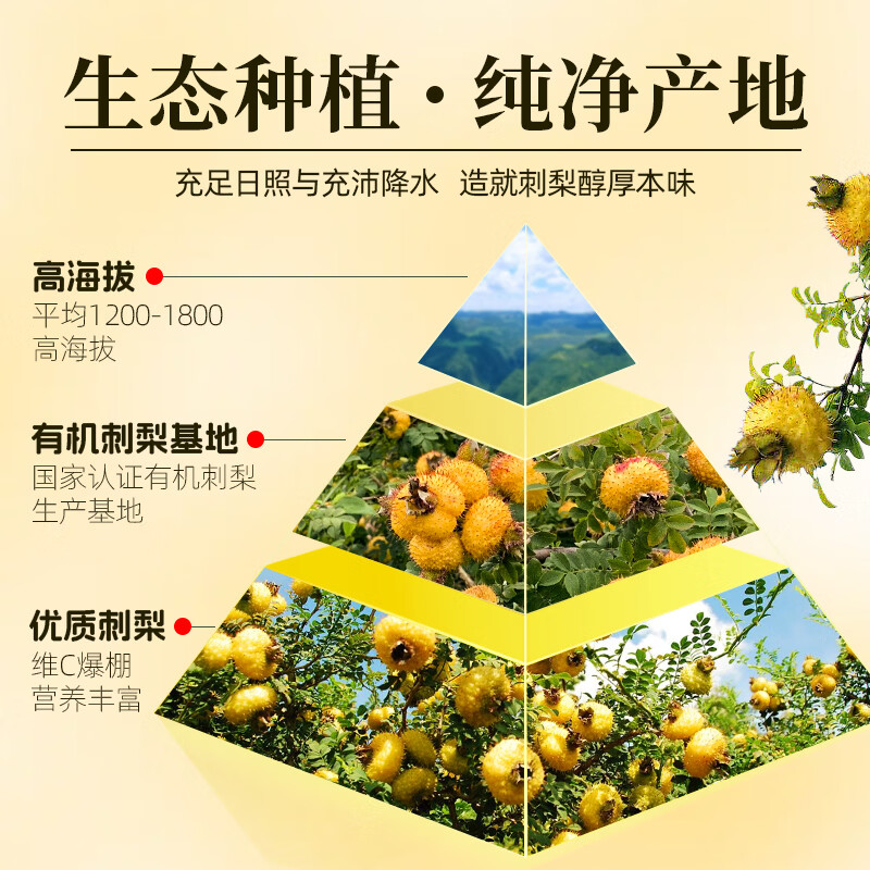 康小农有机刺梨汁原液官方旗舰店高VC原浆100%刺梨NFC原汁原液果汁饮料 10盒 【共6000ml】120瓶【囤货装】