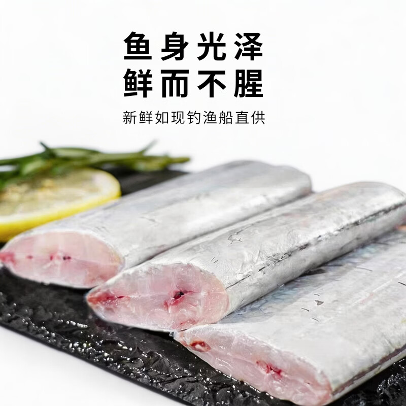 源外园  东海钓带鱼 新鲜船冻特级大钓带鱼整箱大号整条生鲜 鱼类带鱼 3斤无冰带鱼【新鲜饱满】 【4-6两/条】精选黑眼带鱼