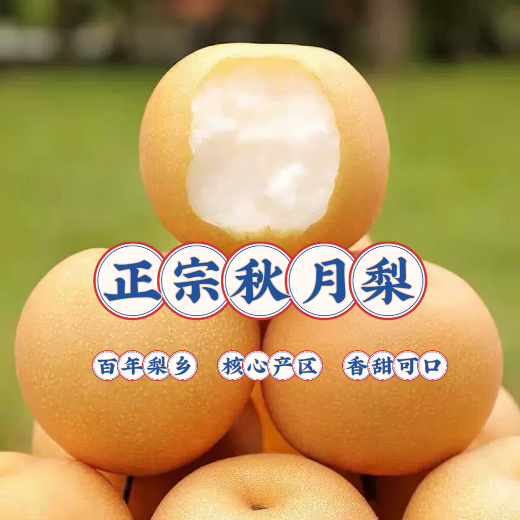 樱鲜正宗山东秋月梨 新鲜现摘 脆甜爆汁细腻无渣当季水果精品礼盒包邮 整箱5斤_净重4.5斤 单果300g+果王 果园包邮 新鲜到家