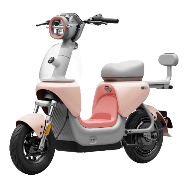 九号Ninebot Qz1 60电动自行车新国标智能代步 3199元 - 美泡泡