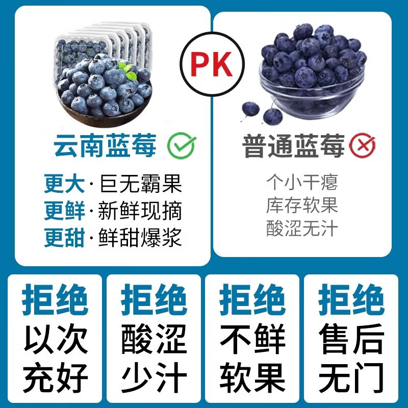 京典光年新鲜蓝莓鲜果 鲜水果蓝莓现货空运到家 100g*6盒装【15mm+】