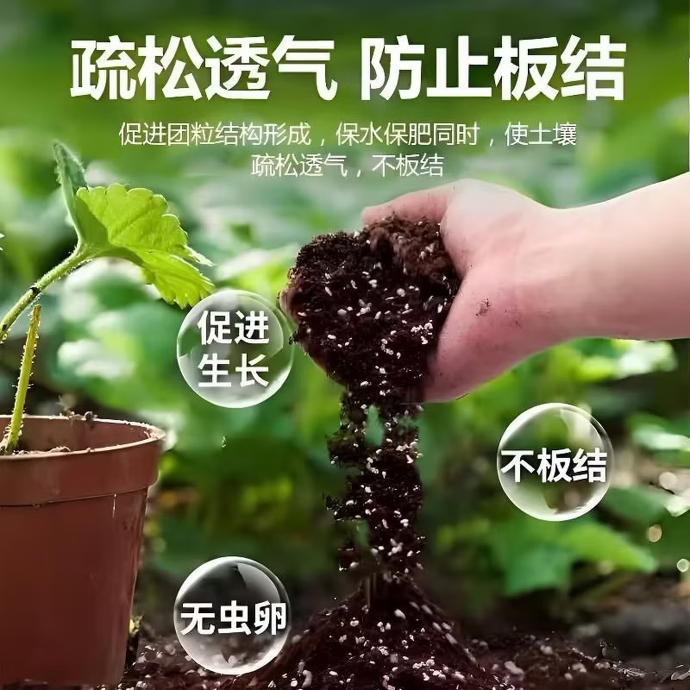 育苗专用土育苗营养土基质土营养杯种蔬菜有机肥料播种用土种植土 十斤