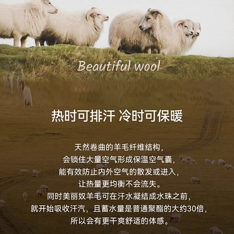 【鹦鹉梨严选】16.5微米超细美丽诺羊毛t恤女短袖100羊毛吸湿排汗 暖云白 M