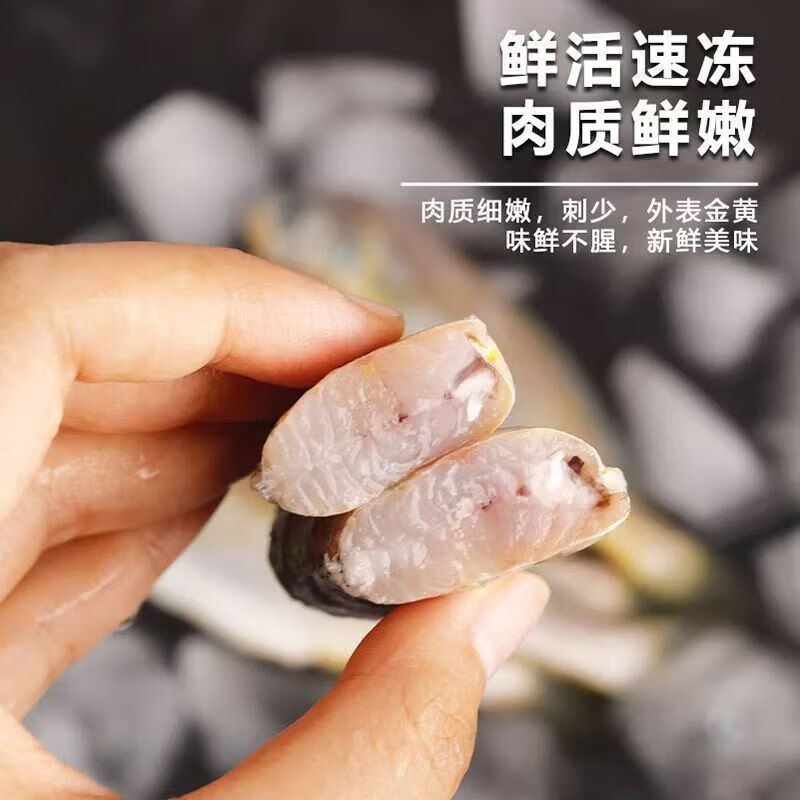 添渔港小黄鱼新鲜冷冻海鱼冰鲜真空包装生小黄鱼 1斤【约10条】