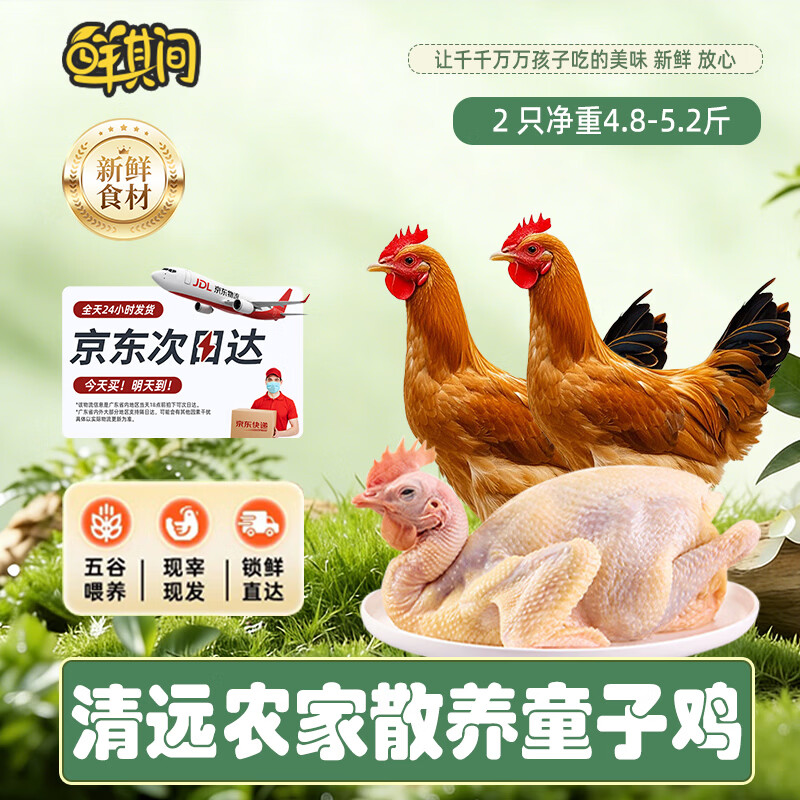 鲜其间【清远童子鸡】清远鸡走地鸡散养土鸡小公鸡整只生鲜鸡肉4.8斤 清远童子鸡【2只净重4.8斤以上】吃得放心买着安心 顺丰/京东包邮/广东省内可做到/当天送达