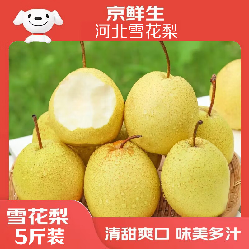 京鲜生河北雪花梨净重5斤 16.8元 - 线报酷