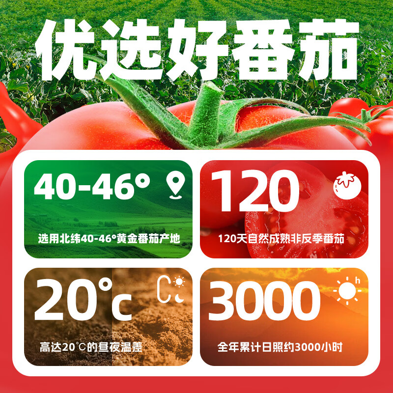 屯河100%番茄汁纯果蔬汁不添加白砂糖西红柿汁代餐饮料轻食营养 250mL*6罐