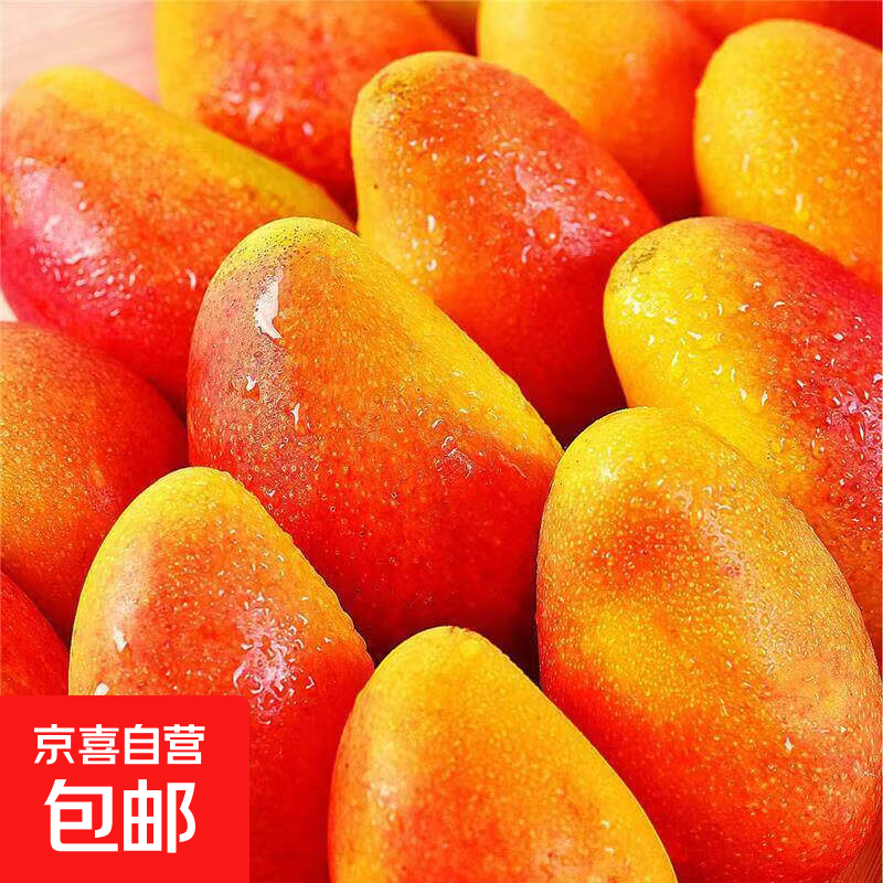 海南贵妃芒新鲜芒果应当季水果树上熟红金龙辣椒芒甜心芒大果整箱 带箱2斤净重1.6斤 单果80g+