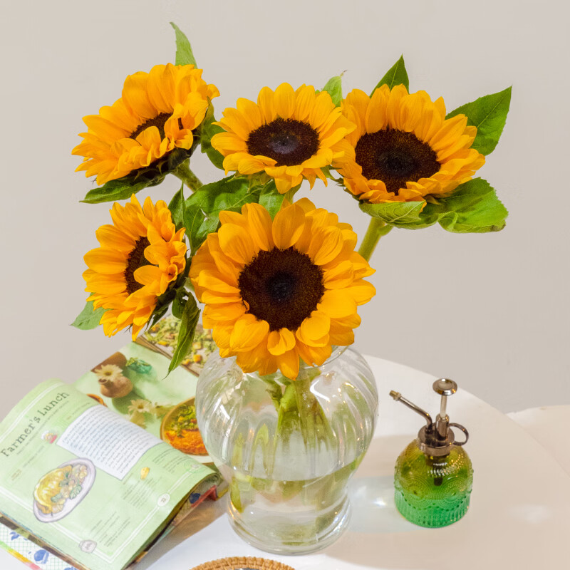 一网情深向日葵水仙百合六初花洋甘菊鲜切花云南昆明基地直发9.9包邮鲜花 向日葵5枝