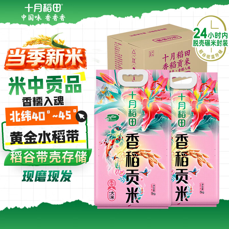十月稻田 香稻贡米 东北大米 5kg*2/箱装 香米 粳米 10kg 20斤