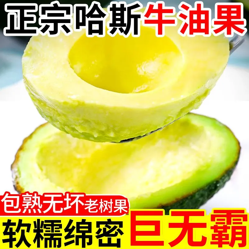 御红橙绿【正宗哈斯】秘鲁进口牛油果新鲜孕妇水果宝宝辅食鳄梨整箱包邮 大果【单果130-160g】性价比高 6个 送酱料包