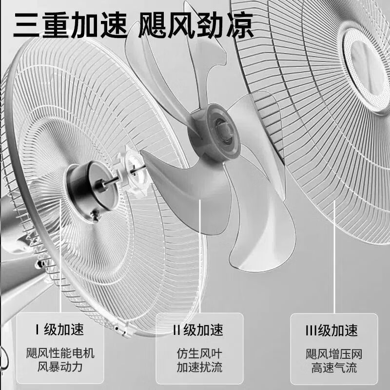 金立电风扇落地扇静音家用立式强力台式宿舍摇头节能风力电扇家庭风扇 16寸精选大五叶【3米线-注水盘】