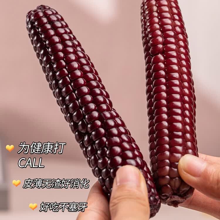 彩云之南西双版纳紫拇指小玉米自然生长新鲜现摘现发玉米真空包装 紫拇指小玉米1公斤/箱（16-20根） （礼盒装）