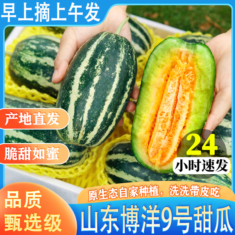 小筑倾橙 山东博洋9号甜瓜头茬羊角脆蜜香瓜新鲜孕妇水果当季整箱 大果5斤【好吃到爆】