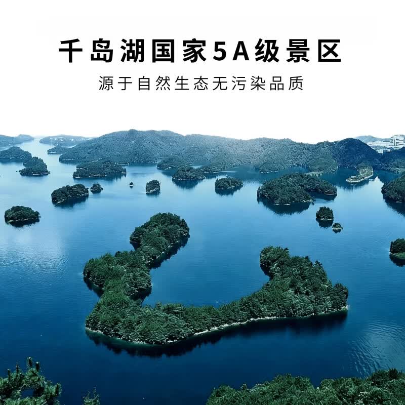 源外园千岛湖胖头鱼活鱼到家 花鲢胖头鱼 大头鱼鲜活乌鲢鱼鳙鱼淡水特产 4-5斤活鱼【包活到家】