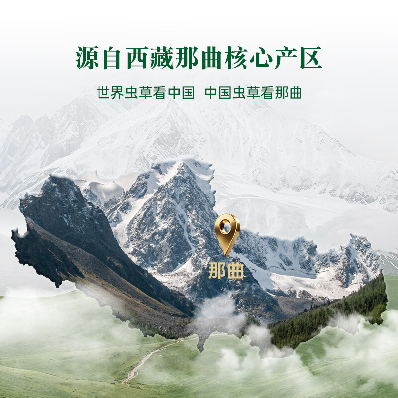 藏汐堂【西藏发货】那曲野生冬虫夏草 新干虫草滋补品 送长辈营养品礼盒 4条/克 40条*1盒 10克【热销款】