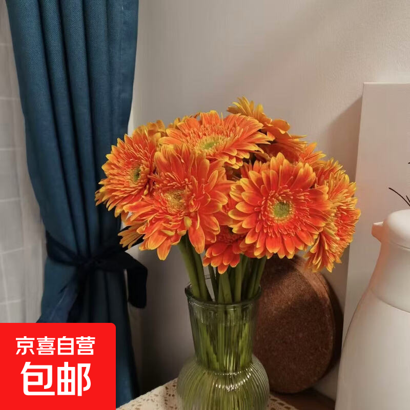 非洲菊鲜花新鲜采摘基地直发水养易养护多颜色520 母亲节生日礼物 橙色16支+4支防损