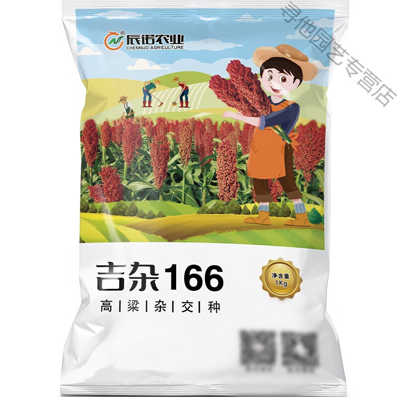 京誉辰诺农业吉杂166杂交高粱种子1kg一袋红壳红粒抗旱抗病适应性强稳