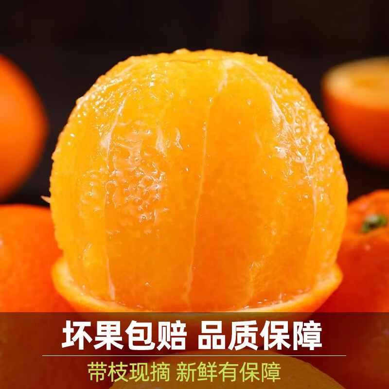 中王佳果重庆奉节脐橙果园直采新鲜现摘皮薄多汁当季水果橙子 坏果包赔净重4.5斤果径60-70mm